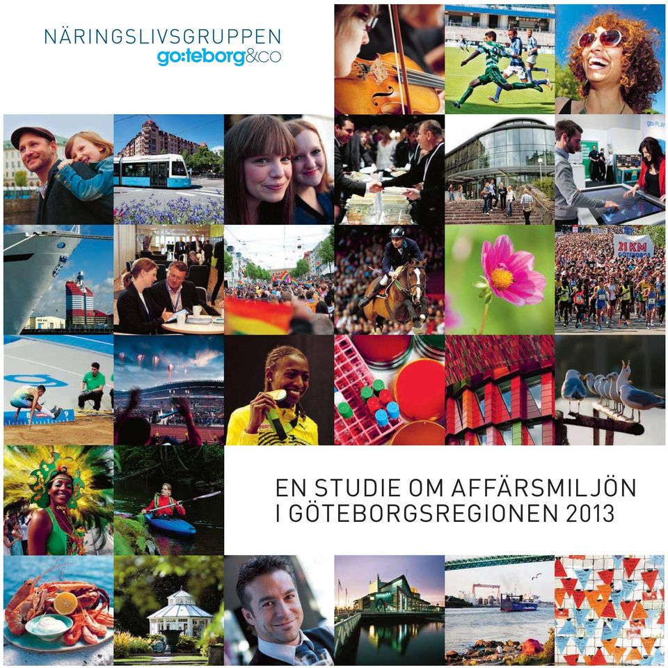 GÖTEBORGSREGIONEN 2013  