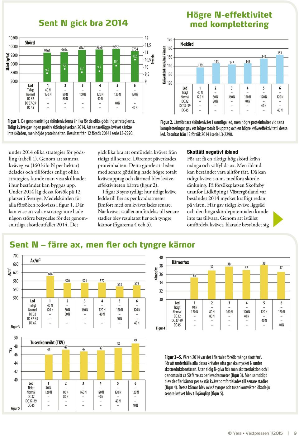 3 160 N 4 149 5 153 6 Figur 1. De genomsnittliga skördenivåerna är lika för de olika gödslingsstrategierna. Tidigt kväve gav ingen positiv skördepåverkan 2014.