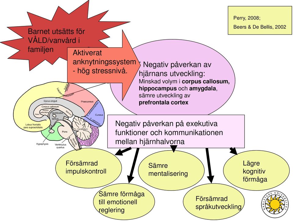 prefrontala cortex Perry, 2008; Beers & De Bellis, 2002 Negativ påverkan på exekutiva funktioner och kommunikationen