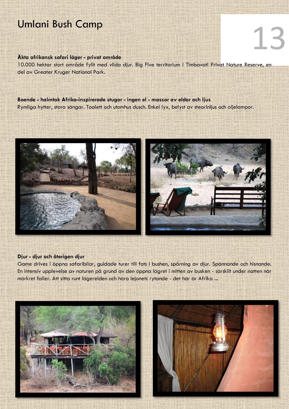 Boende - halmtak Afrika-inspirerade stugor - ingen el - massor av eldar och ljus Rymliga hytter, stora sängar. Toalett och utomhus dusch.