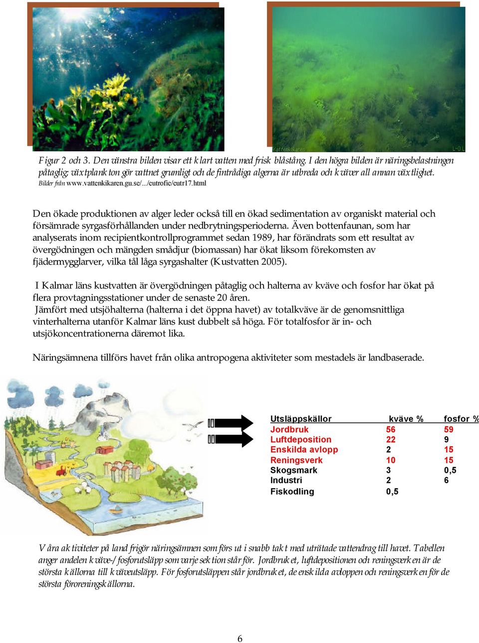 ../eutrofie/eutr17.html Den ökade produktionen av alger leder också till en ökad sedimentation av organiskt material och försämrade syrgasförhållanden under nedbrytningsperioderna.