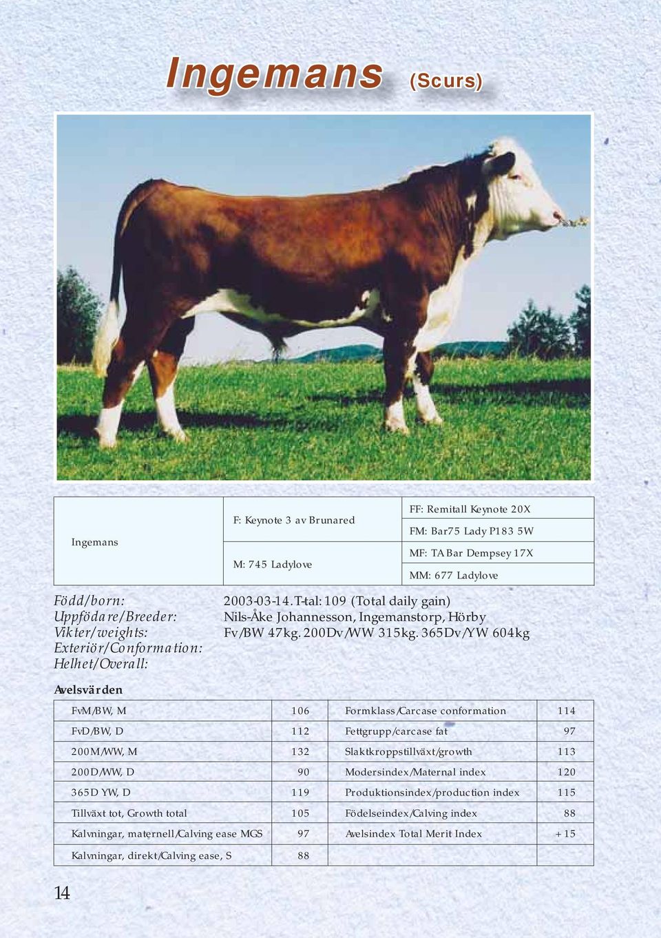 365Dv/YW 604kg FvM/BW, M 106 Formklass/Carcase conformation 114 FvD/BW, D 112 Fettgrupp/carcase fat 97 200M/WW, M 132 Slaktkroppstillväxt/growth 113 200D/WW, D 90 Modersindex/Maternal