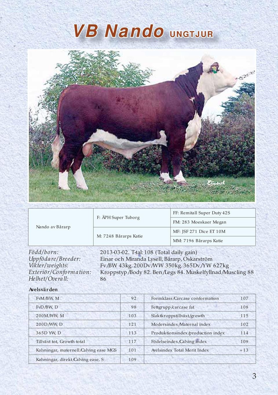 Muskelfyllnad/Muscling 88 Helhet/Overall: 86 FvM/BW, M 92 Formklass/Carcase conformation 107 FvD/BW, D 98 Fettgrupp/carcase fat 108 200M/WW, M 103 Slaktkroppstillväxt/growth 115 200D/WW, D 121