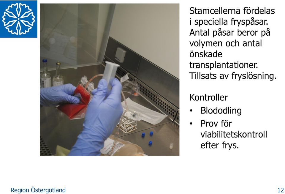 transplantationer. Tillsats av fryslösning.