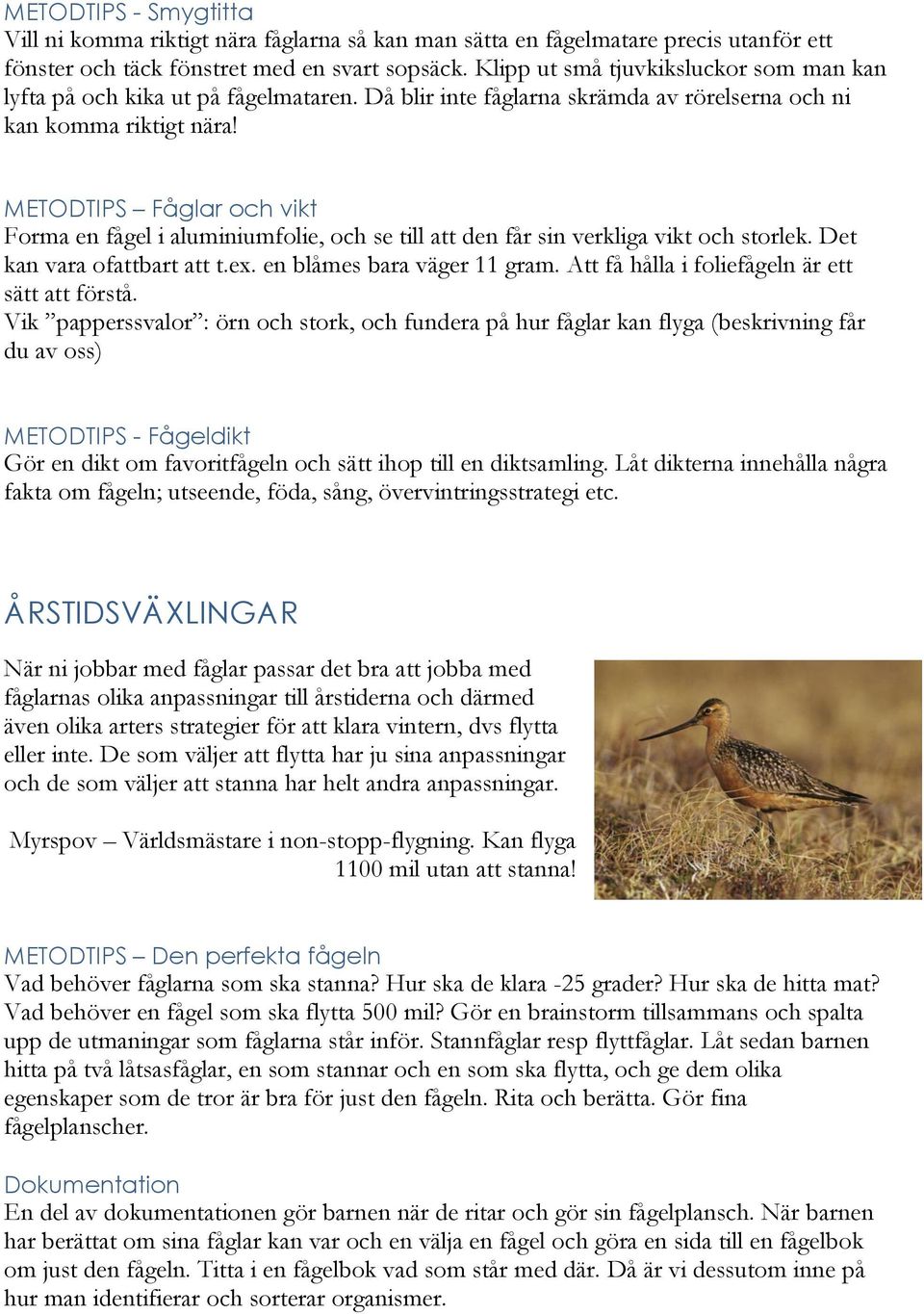 METODTIPS Fåglar och vikt Forma en fågel i aluminiumfolie, och se till att den får sin verkliga vikt och storlek. Det kan vara ofattbart att t.ex. en blåmes bara väger 11 gram.