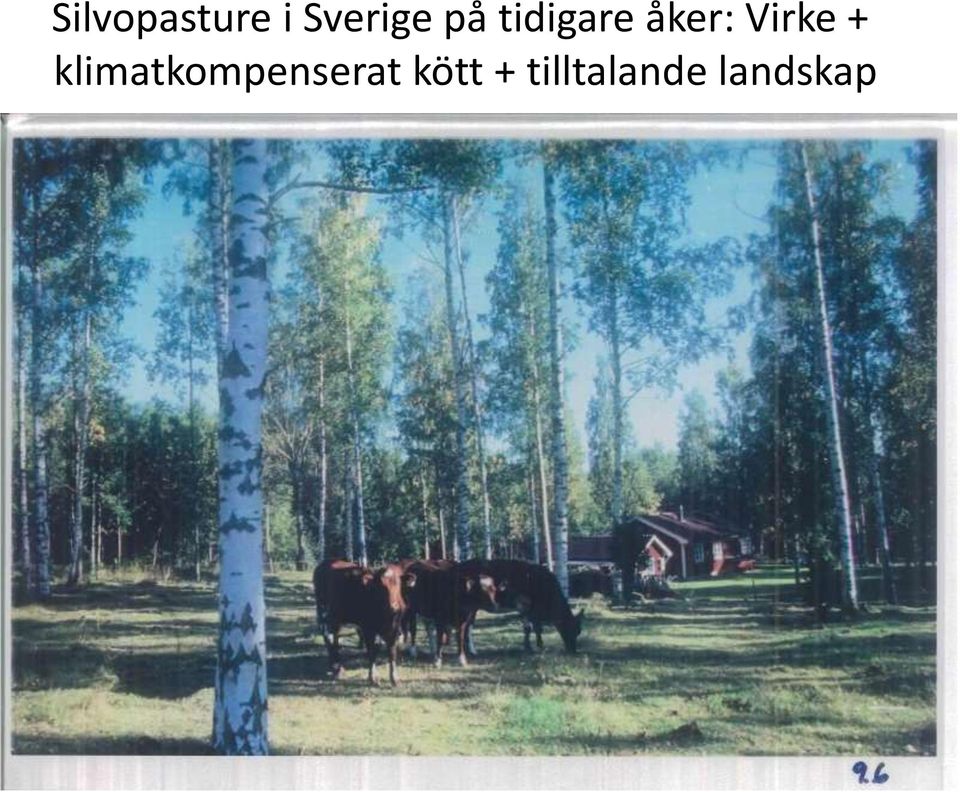 + klimatkompenserat