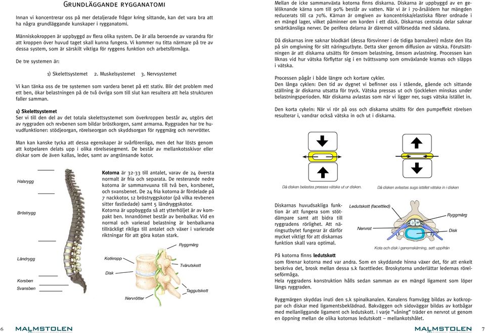 Vi kommer nu titta närmare på tre av dessa system, som är särskilt viktiga för ryggens funktion och arbetsförmåga. De tre systemen är: 1) Skelettsystemet 2. Muskelsystemet 3.