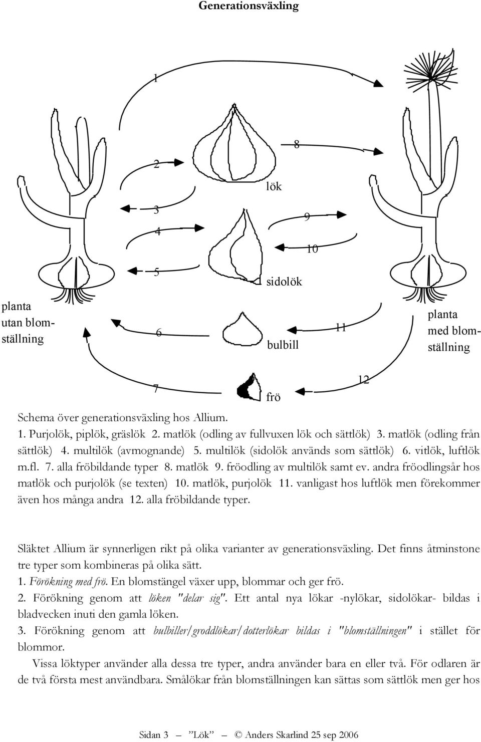 matlök 9. fröodling av multilök samt ev. andra fröodlingsår hos matlök och purjolök (se texten) 10. matlök, purjolök 11. vanligast hos luftlök men förekommer även hos många andra 12.