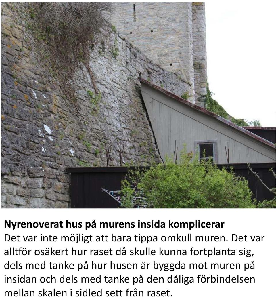 Det var alltför osäkert hur raset då skulle kunna fortplanta sig, dels med