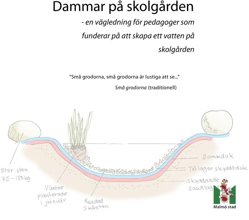 vatten på skolgården Små grodorna, små