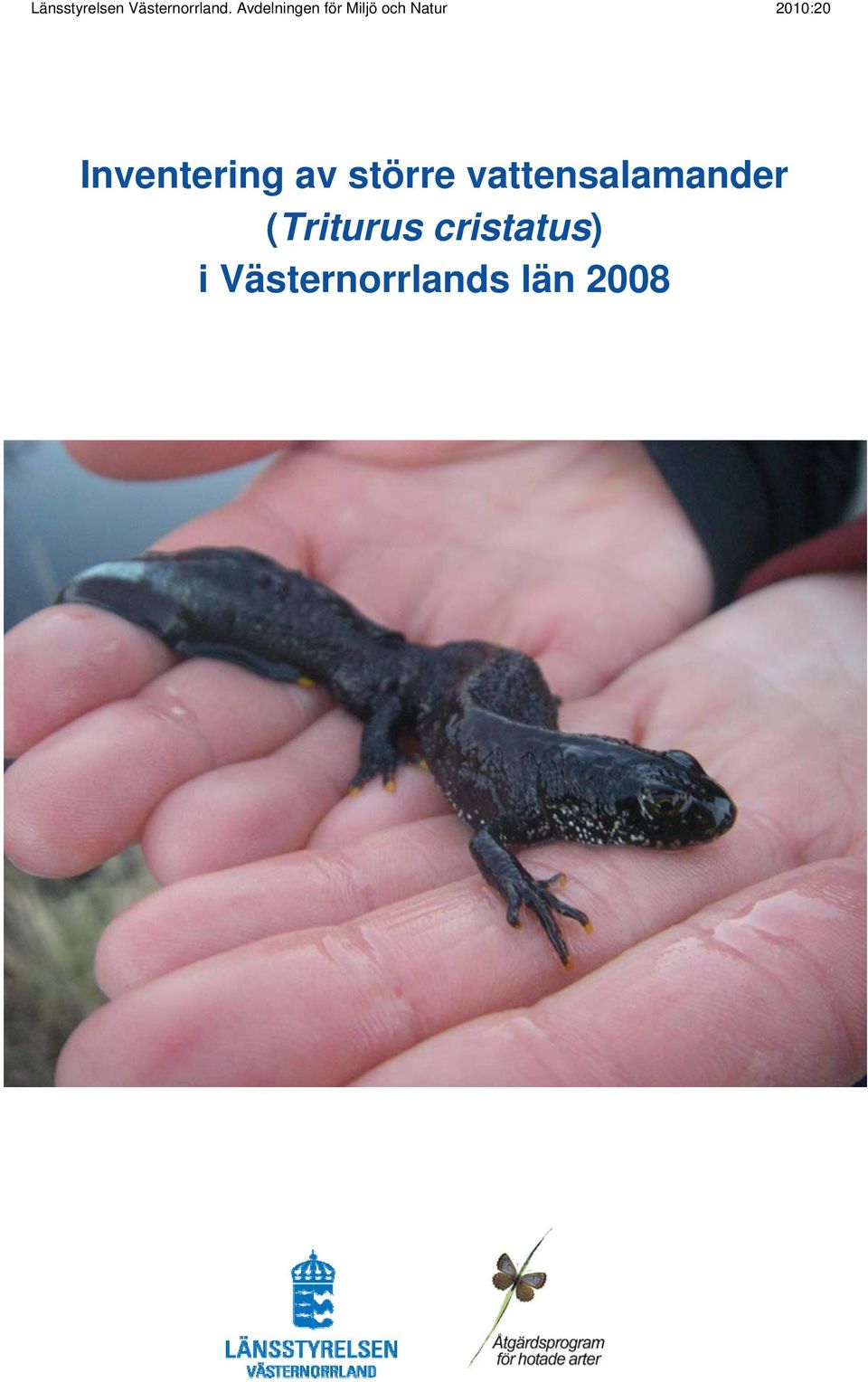 2010:20 Inventering av större