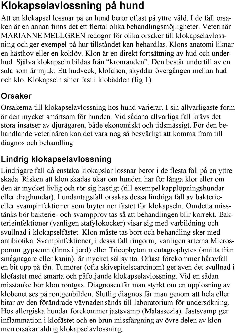 Klon är en direkt fortsättning av hud och underhud. Själva klokapseln bildas från kronranden. Den består undertill av en sula som är mjuk.