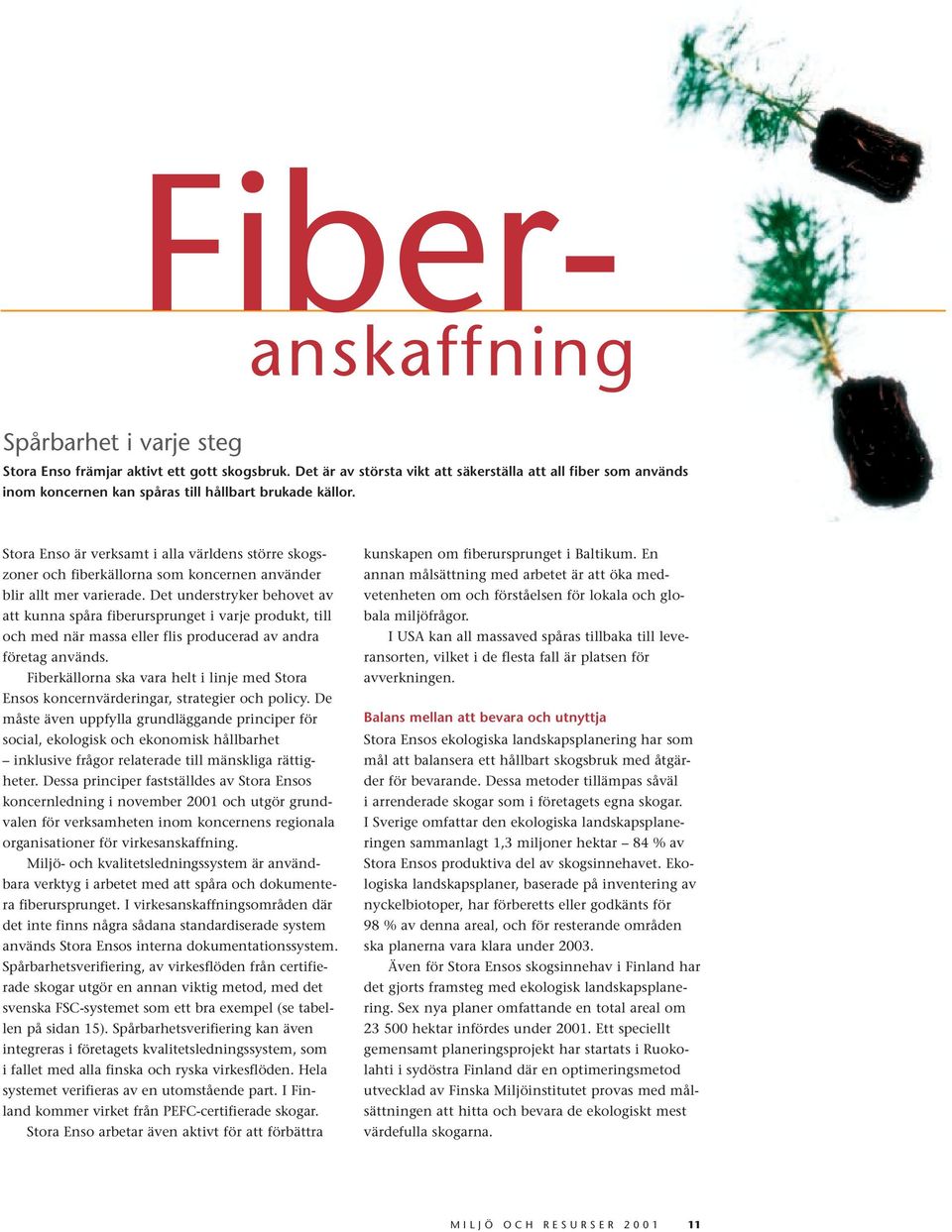 Stora Enso är verksamt i alla världens större skogszoner och fiberkällorna som koncernen använder blir allt mer varierade.