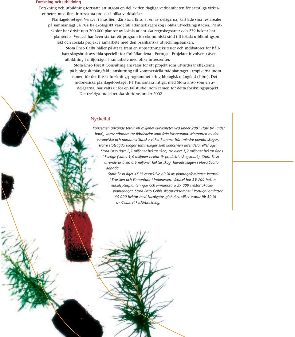 Plantskolor har drivit upp 300 000 plantor av lokala atlantiska regnskogsarter och 279 hektar har planterats.