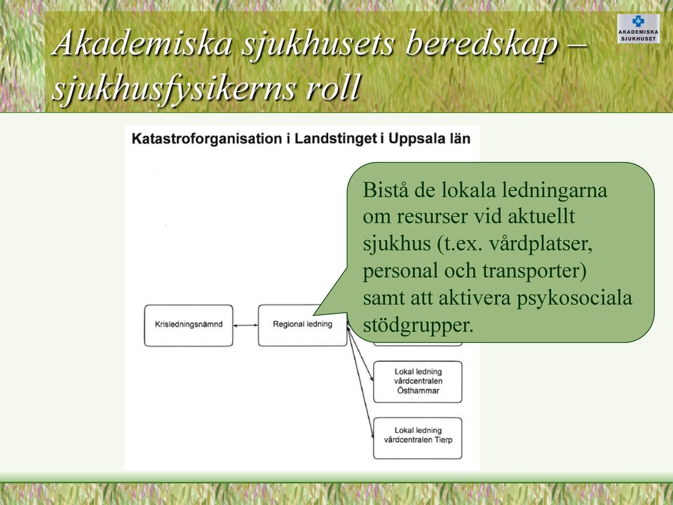 vårdplatser, personal och