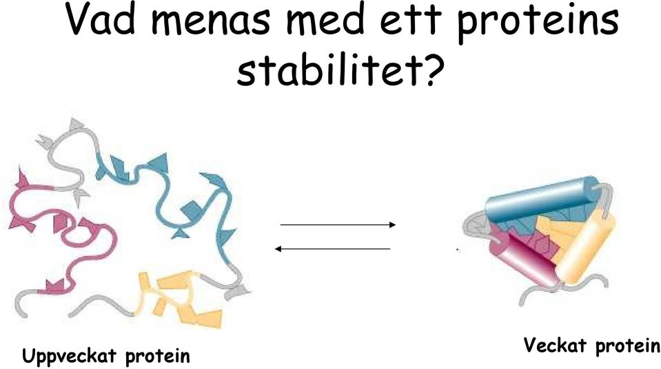 stabilitet?