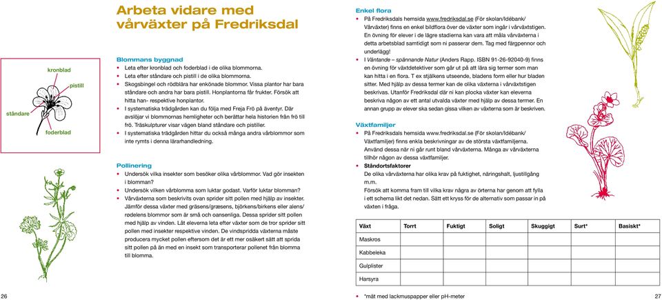 Försök att hitta han- respektive honplantor. I systematiska trädgården kan du följa med Freja Frö på äventyr. Där avslöjar vi blommornas hemligheter och berättar hela historien från frö till frö.