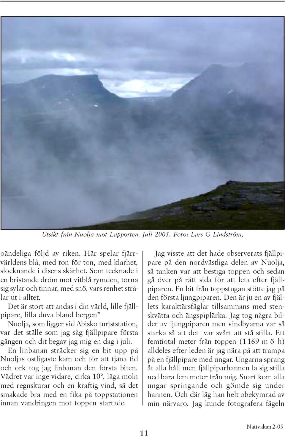 Det är stort att andas i din värld, lille fjällpipare, lilla duva bland bergen Nuolja, som ligger vid Abisko turiststation, var det ställe som jag såg fjällpipare första gången och dit begav jag mig