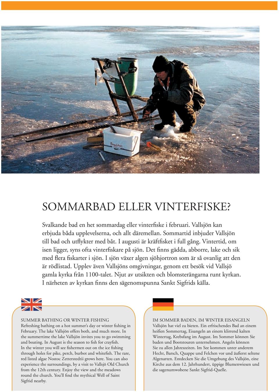Det finns gädda, abborre, lake och sik med flera fiskarter i sjön. I sjön växer algen sjöhjortron som är så ovanlig att den är rödlistad.