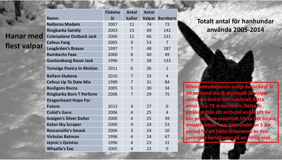 Dollar Kalan Sky Scraper Roscanaille's Smack Vickulas Batman Jejmic's Qvintus Whyalla's Exo 999 33 3 3 9 3 3 99 99 3 3 39 3 3 Totalt antal för hanhundar använda - Rekommendationen enligt avelsrådet