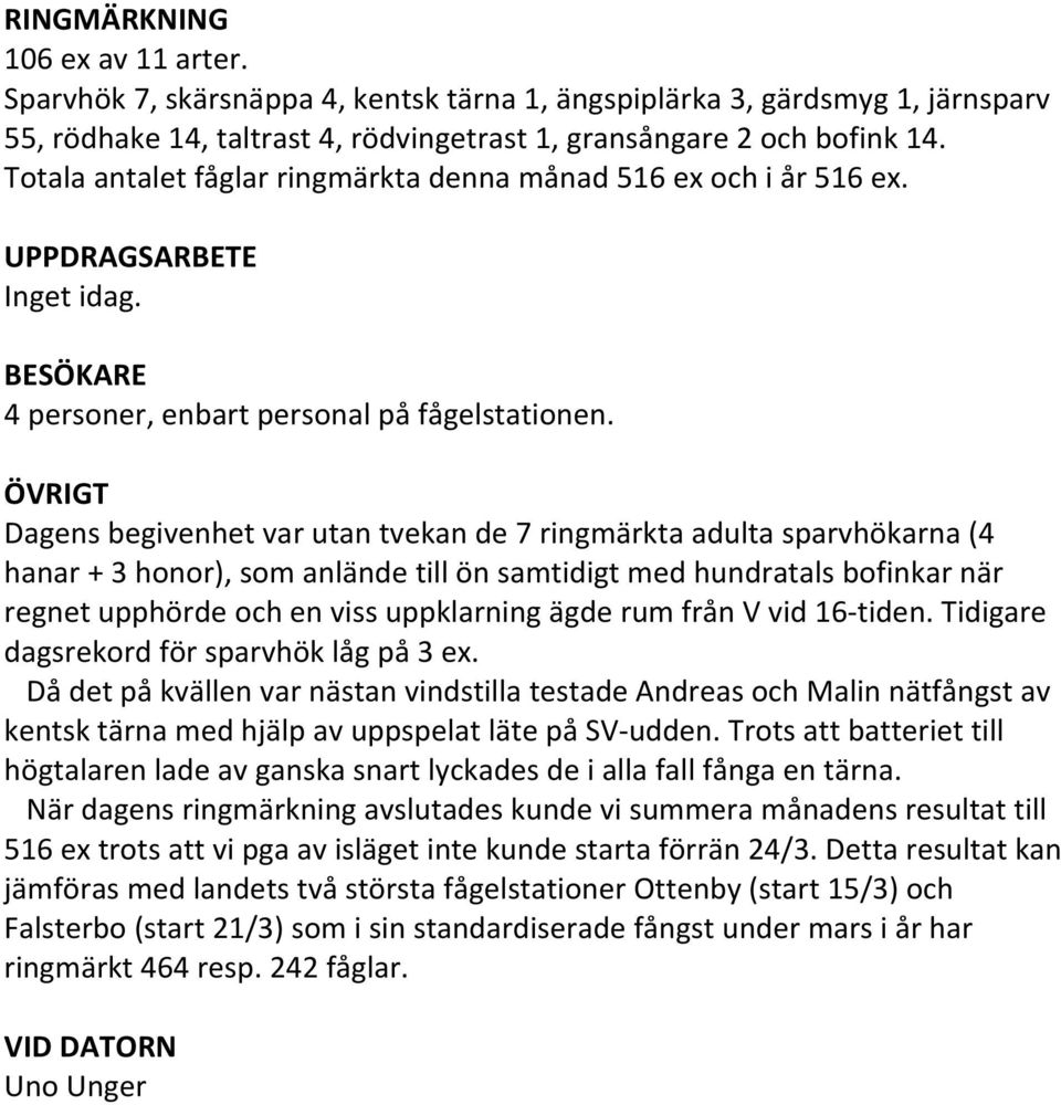 ÖVRIGT Dagens begivenhet var utan tvekan de 7 ringmärkta adulta sparvhökarna (4 hanar + 3 honor), som anlände till ön samtidigt med hundratals bofinkar när regnet upphörde och en viss uppklarning