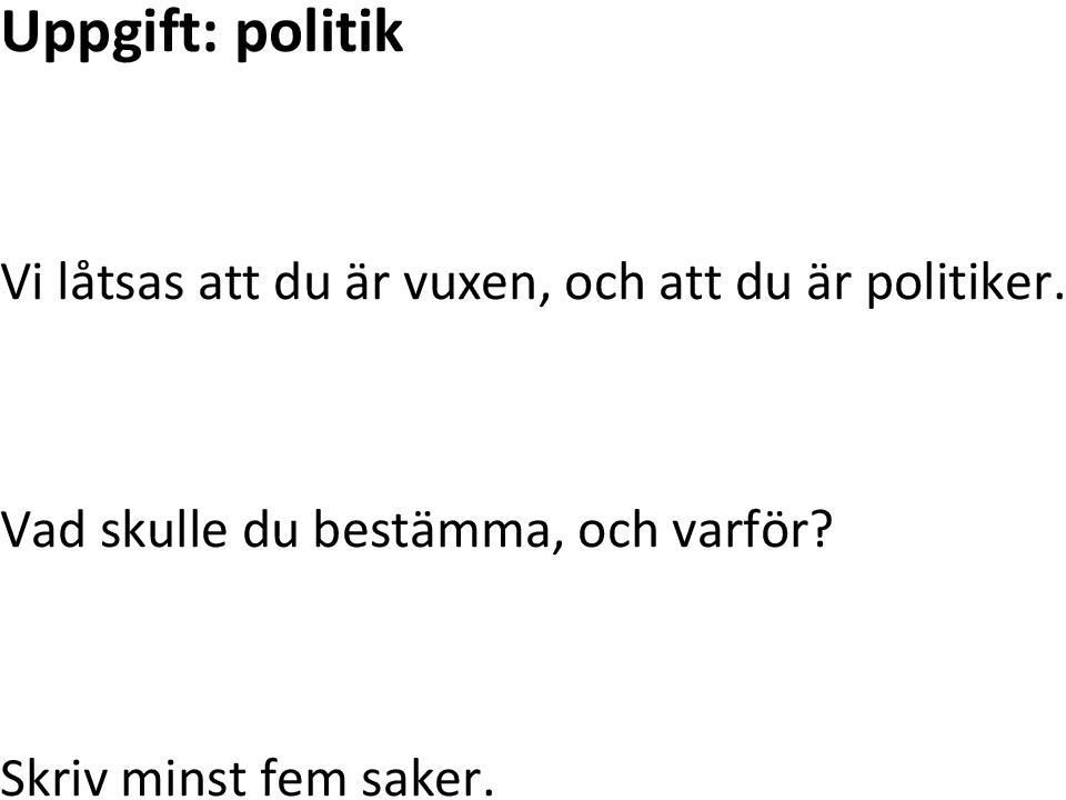 politiker.