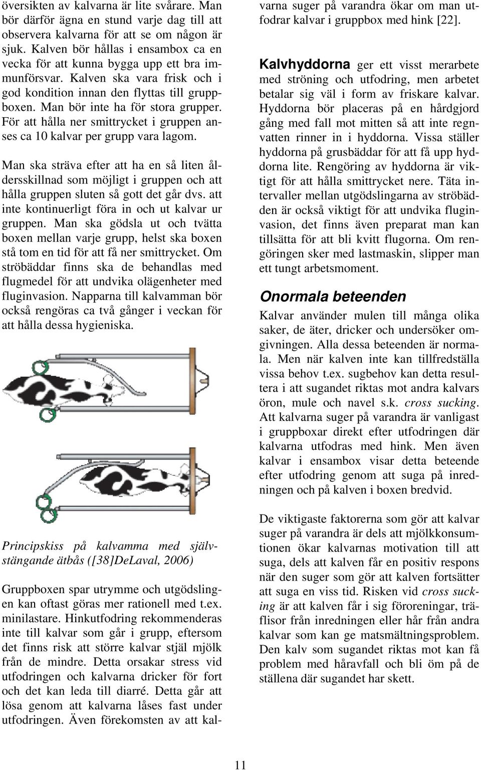 För att hålla ner smittrycket i gruppen anses ca 10 kalvar per grupp vara lagom.