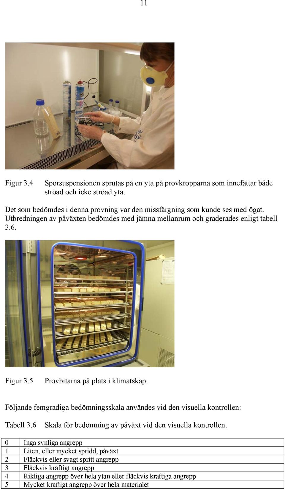 5 Provbitarna på plats i klimatskåp. Följande femgradiga bedömningsskala användes vid den visuella kontrollen: Tabell 3.