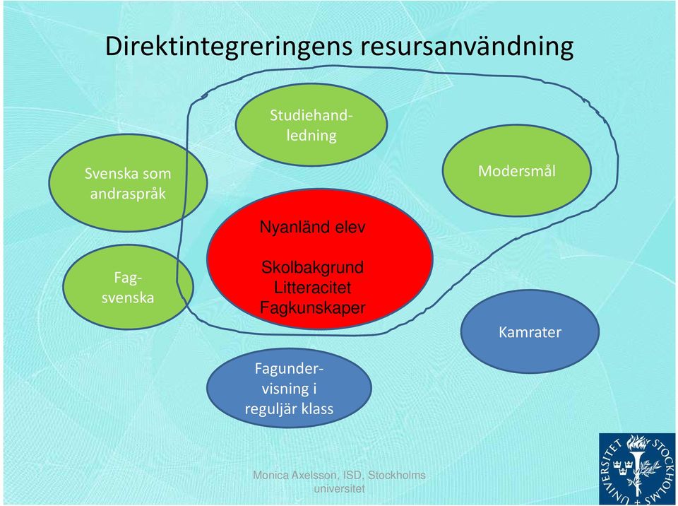 Skolbakgrund Nnyanländ elev Litteracitet