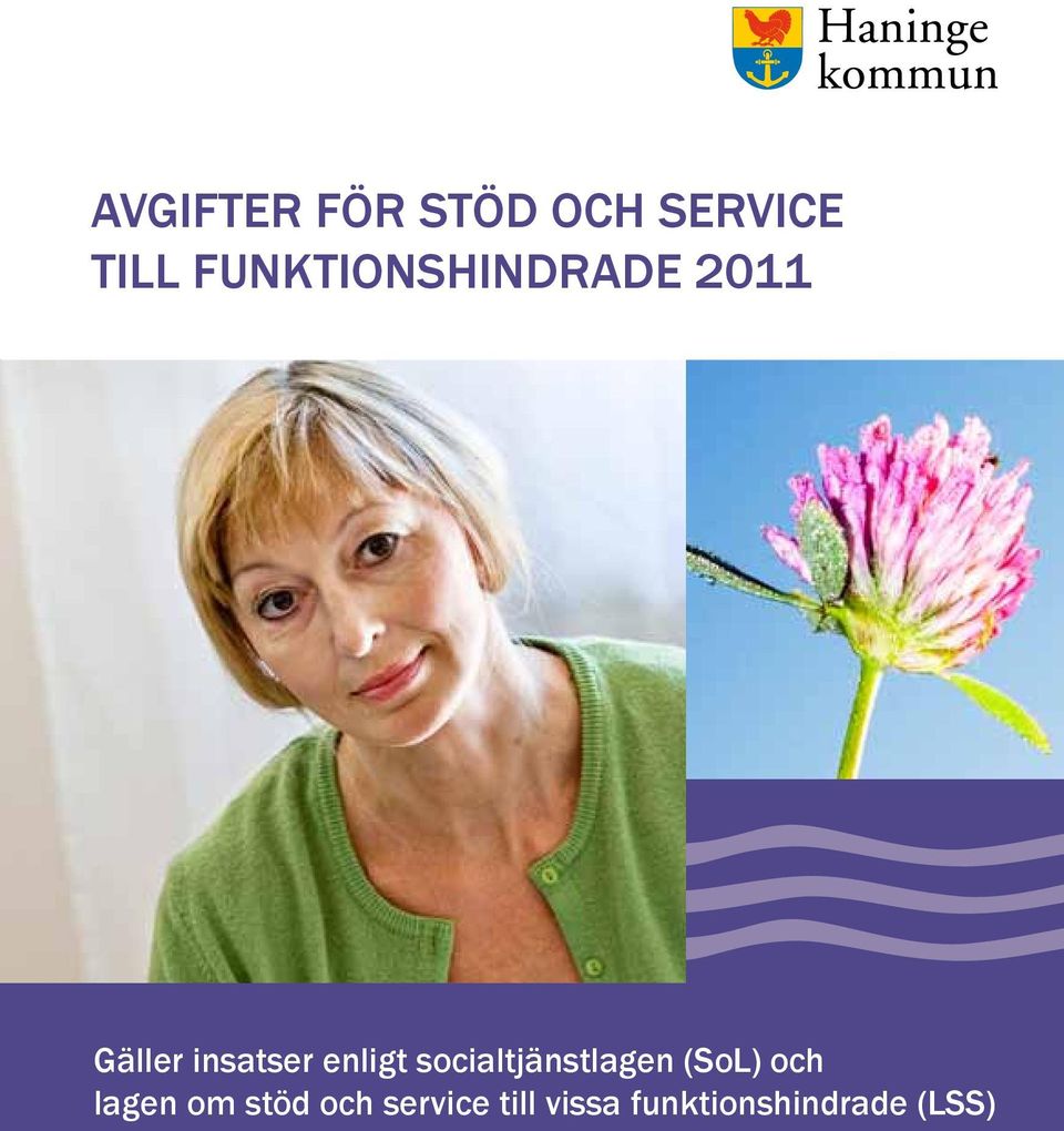 enligt socialtjänstlagen (SoL) och lagen
