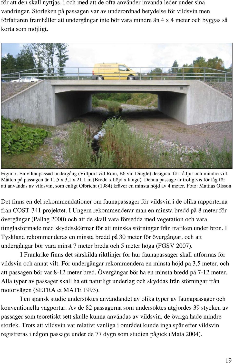 En viltanpassad undergång (Viltport vid Rom, E6 vid Dingle) designad för rådjur och mindre vilt. Måtten på passagen är 11,5 x 3,1 x 21,1 m (Bredd x höjd x längd).