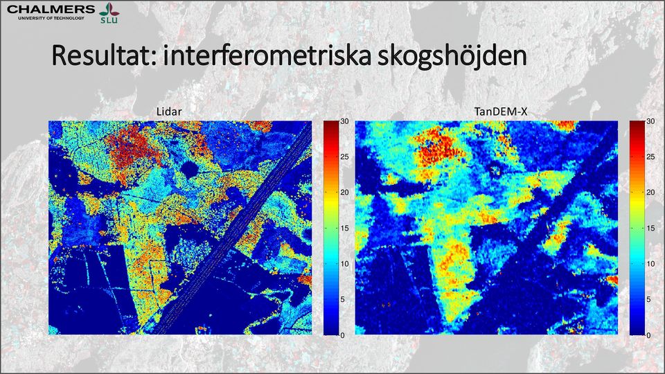 skogshöjden Lidar 30