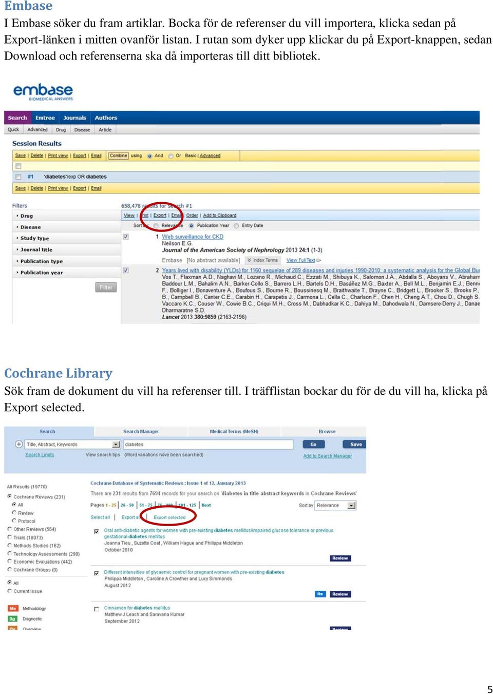 I rutan som dyker upp klickar du på Export-knappen, sedan Download och referenserna ska då