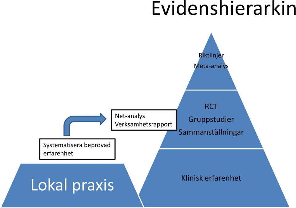 Net-analys Verksamhetsrapport RCT