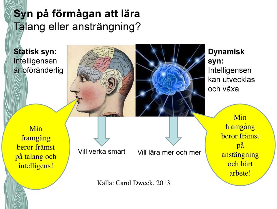 utvecklas och växa Min framgång beror främst på talang och intelligens!