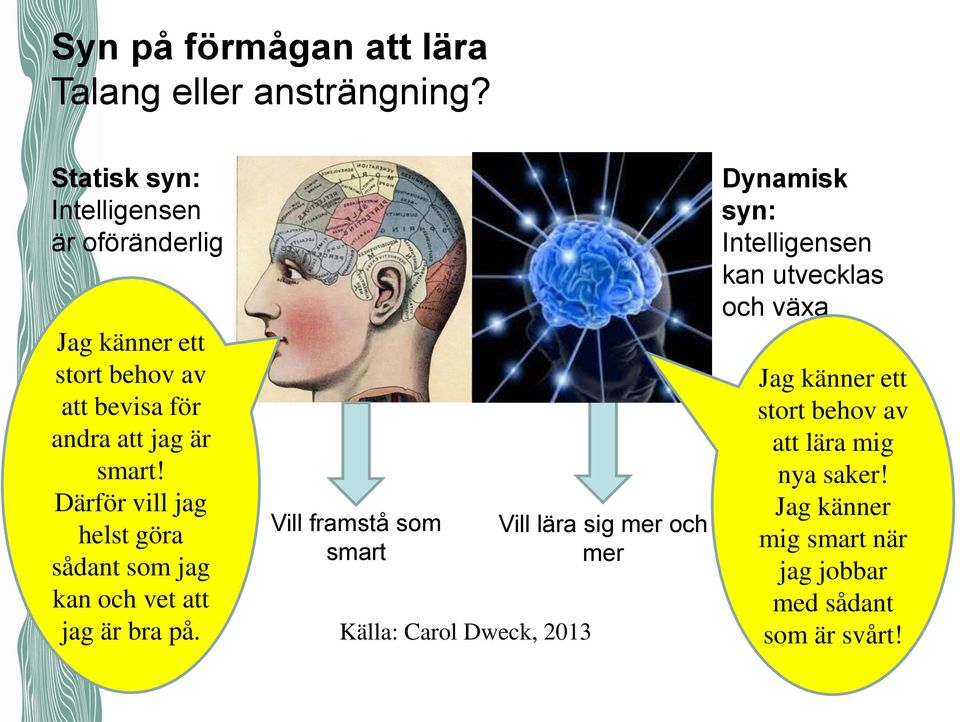 Därför vill jag helst göra sådant som jag kan och vet att jag är bra på.