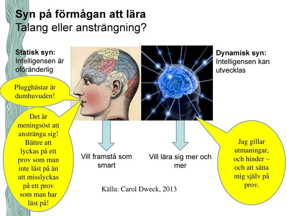 Det är meningsöst att anstränga sig!