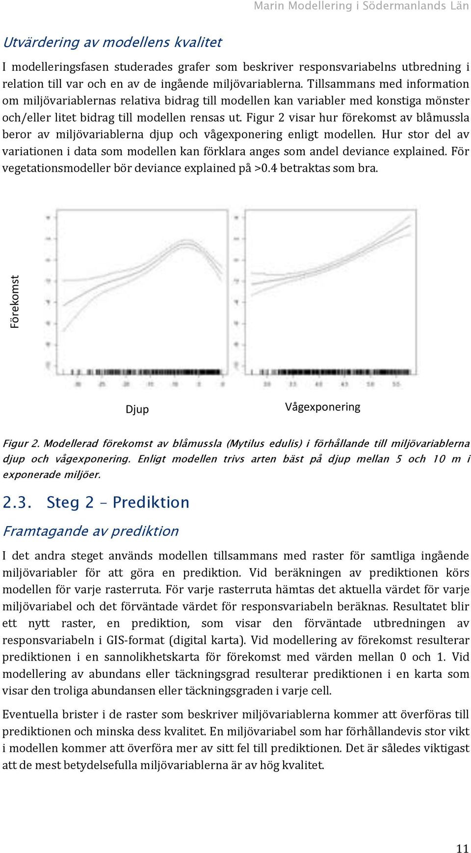 Figur 2 visar hur förekomst av blåmussla beror av miljövariablerna djup och vågexponering enligt modellen.