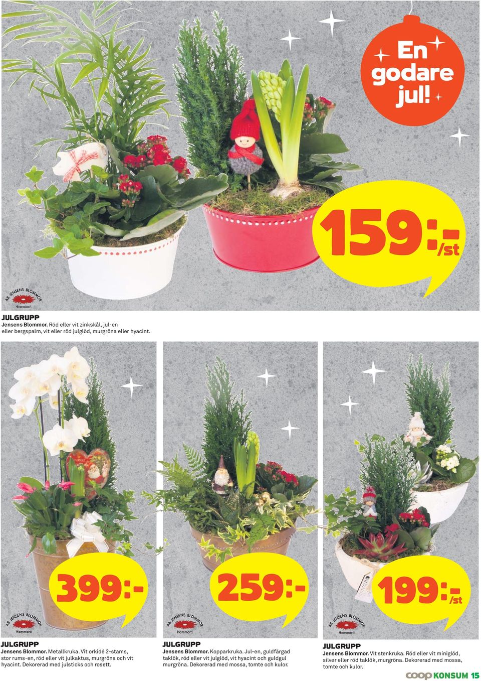 Dekorerad med julsticks och rosett. Jensens Blommor. Kopparkruka. Jul-en, guldfärgad taklök, röd eller vit julglöd, vit hyacint och guldgul murgröna.