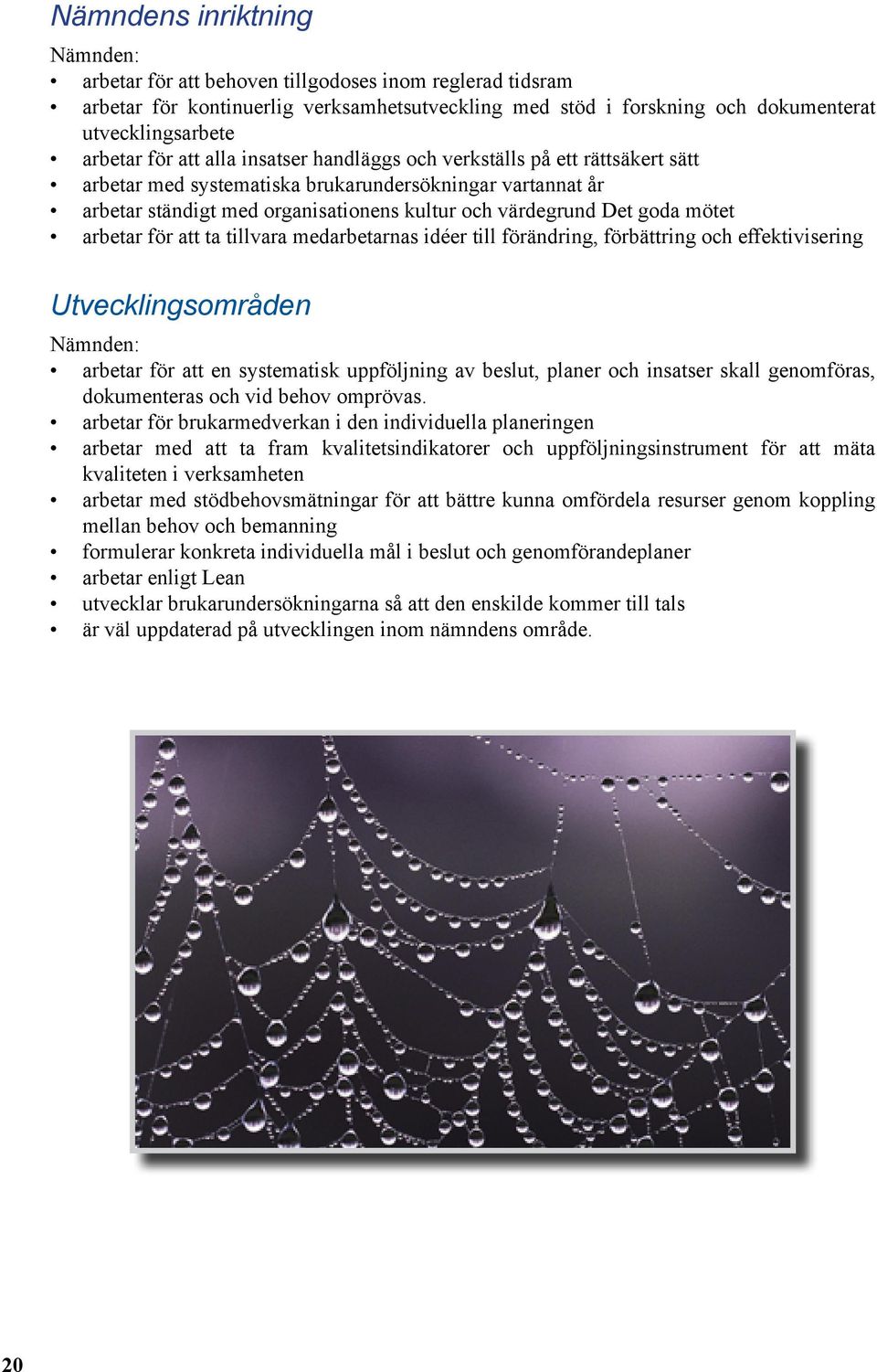 arbetar för att ta tillvara medarbetarnas idéer till förändring, förbättring och effektivisering Utvecklingsområden arbetar för att en systematisk uppföljning av beslut, planer och insatser skall