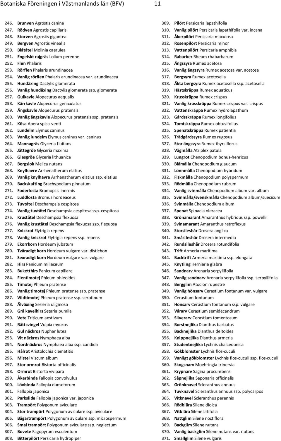 Hundäxing Dactylis glomerata 256. Vanlig hundäxing Dactylis glomerata ssp. glomerata 257. Gulkavle Alopecurus aequalis 258. Kärrkavle Alopecurus geniculatus 259. Ängskavle Alopecurus pratensis 260.