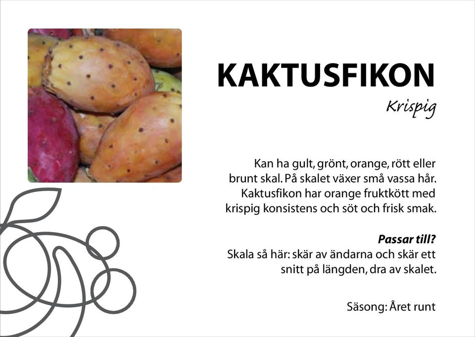 Kaktusfikon har orange fruktkött med krispig konsistens och söt