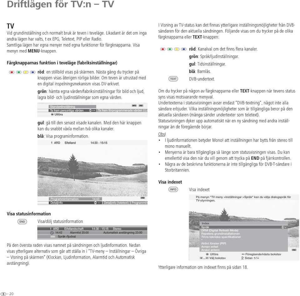 Nästa gång du trycker på knappen visas återigen rörliga bilder. Om teven är utrustad med en digital inspelningsmekanism visas DV-arkivet.