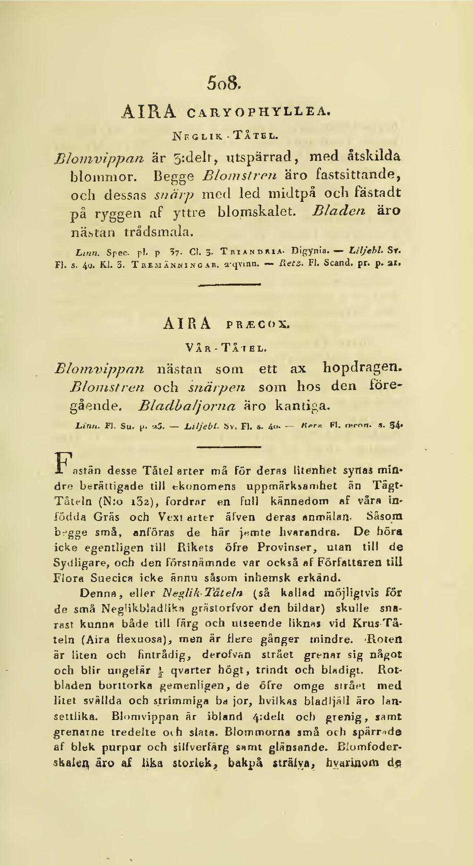 S*. Fl. s. 4g. Kl. 3. Tbemänmngar. aqvina. Retz. Fl. Scand. pr. p. ai> AIRA PRiECOX. VÅR - TÅ TEL. Blomvippan nästan som ett ax hopdragen. Blomstren och snärpen som hos den iöre» gående.