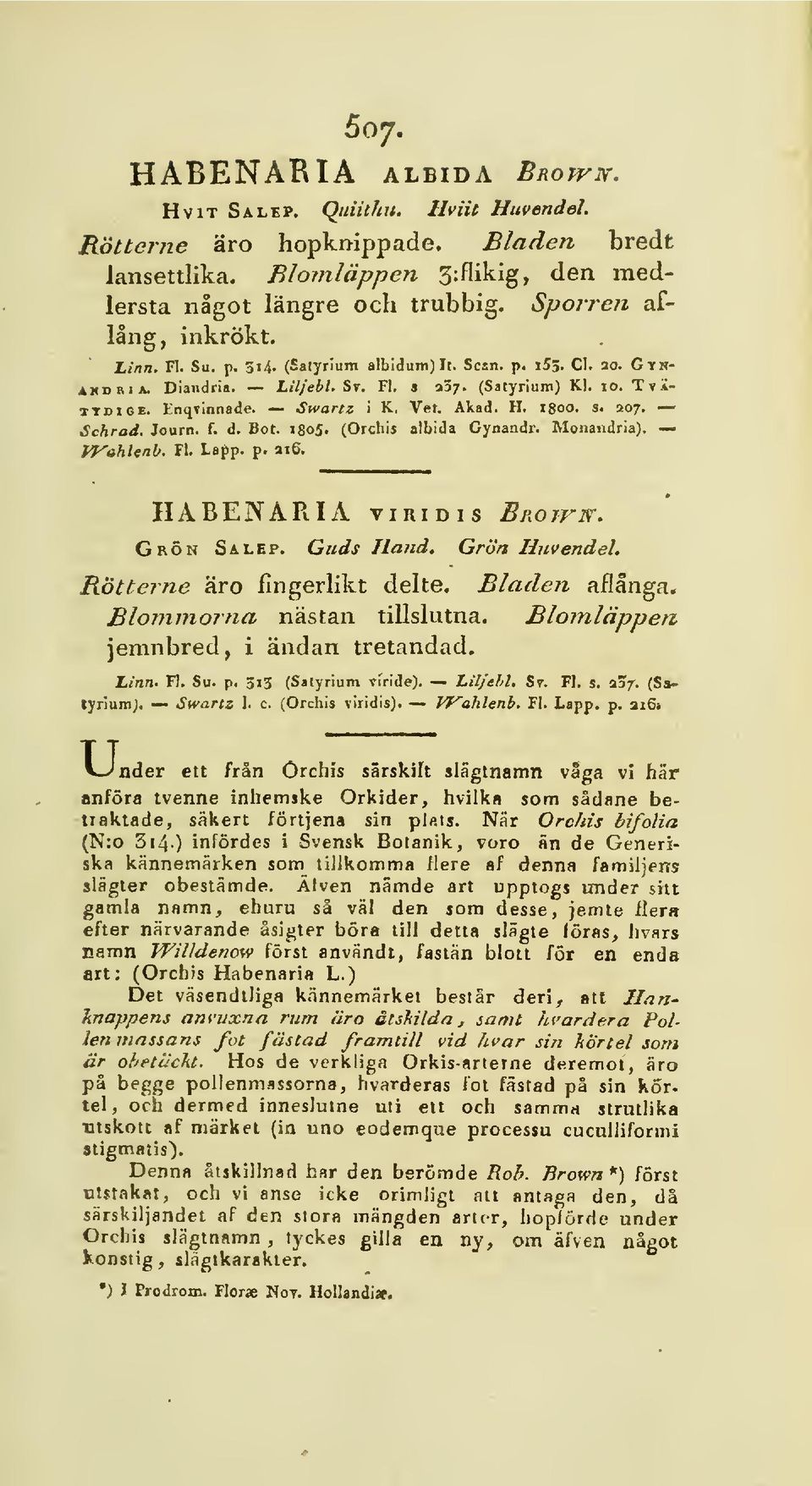 Akad. H. 1800. s. 207. Schrad. Journ. f. d. Bot. 1805. (Orchis albida Gynandr. Monaudria). fj^ehleno. Fl. Lapp. p. ai6, HABENARIA viridis Brown, Grön Salep. Guds Hand. Grön Uuvendel.