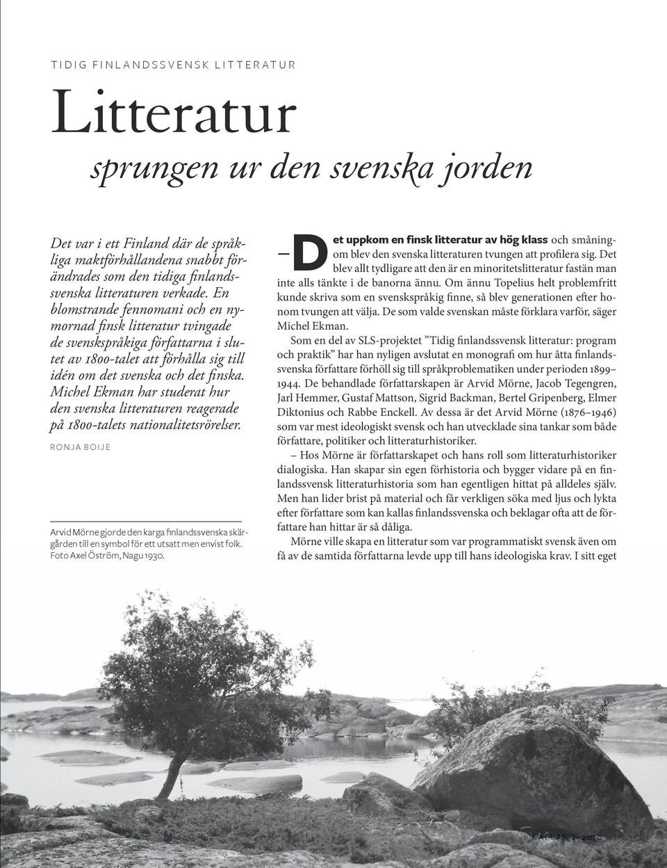 En blomstrande fennomani och en nymornad finsk litteratur tvingade de svenskspråkiga författarna i slutet av 1800-talet att förhålla sig till idén om det svenska och det finska.
