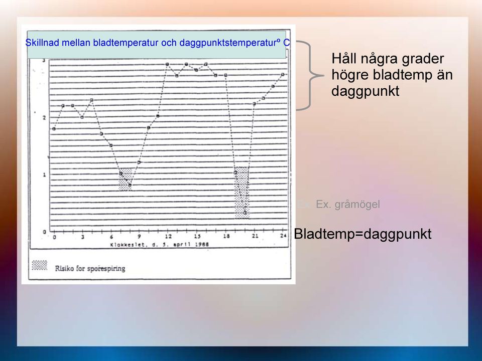 grader högre bladtemp än daggpunkt