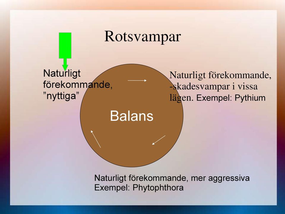 i vissa lägen.