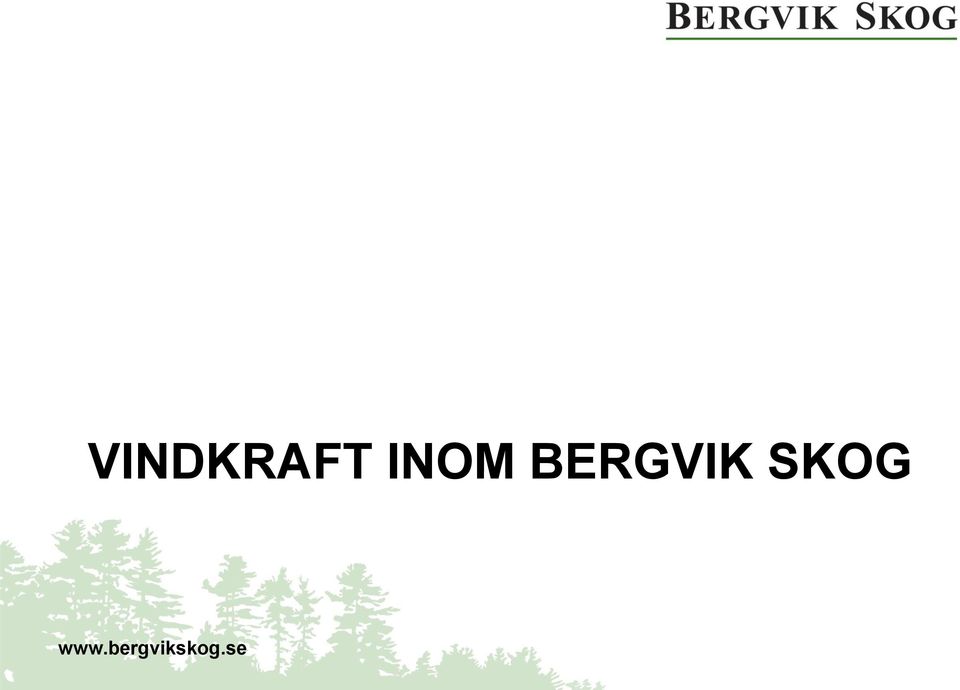 BERGVIK