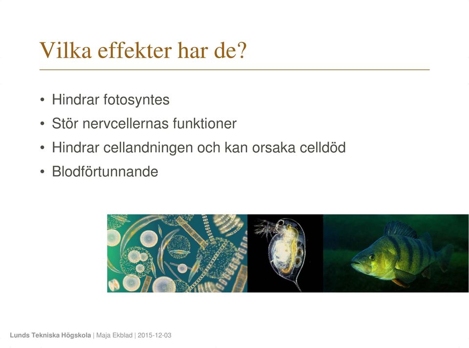 nervcellernas funktioner Hindrar